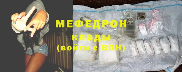стаф Ельня