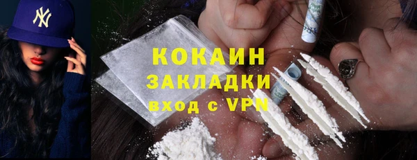 стаф Ельня