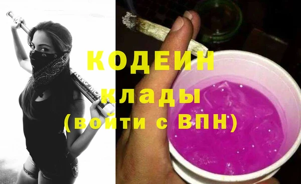 шишки Елизово