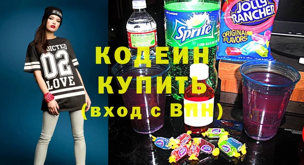 шишки Елизово