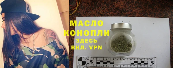 стаф Ельня
