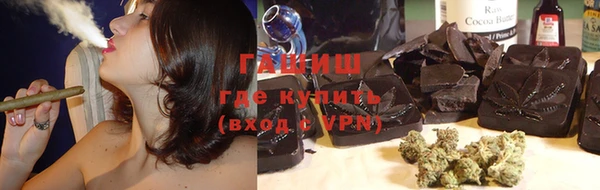 шишки Елизово