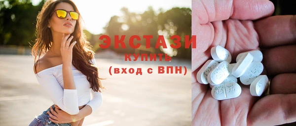 стаф Ельня