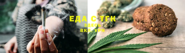 стаф Ельня