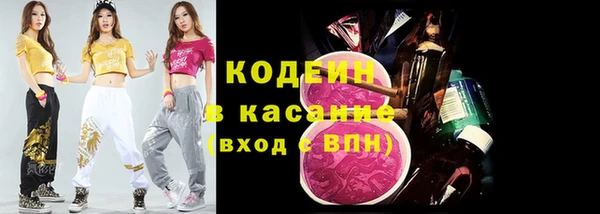 стаф Ельня