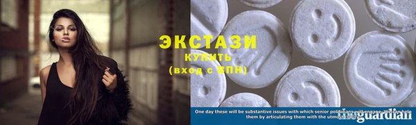стаф Ельня
