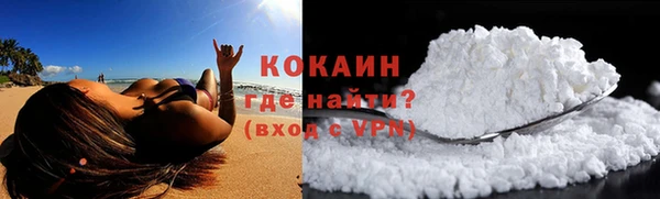 стаф Ельня