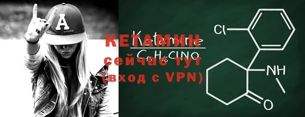 стаф Ельня