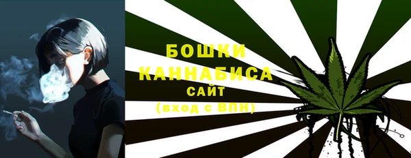шишки Елизово