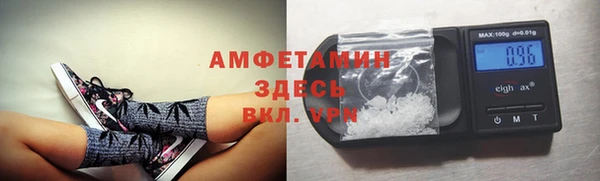 шишки Елизово