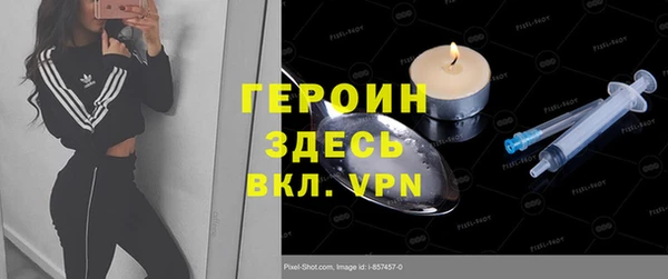 стаф Ельня