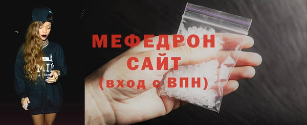 стаф Ельня