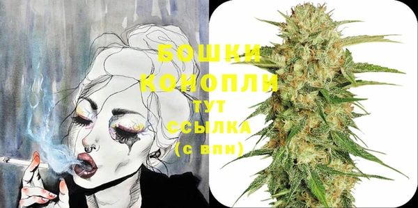 шишки Елизово