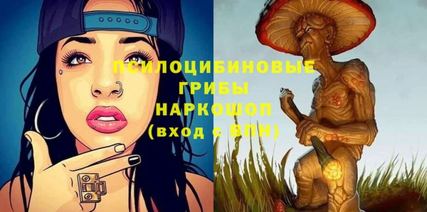 шишки Елизово