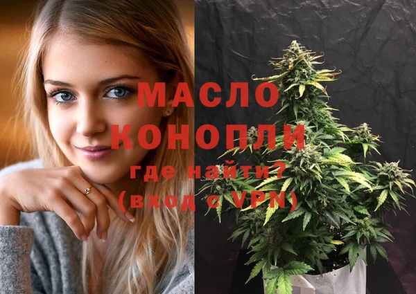 стаф Ельня