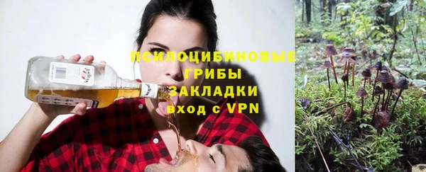 шишки Елизово