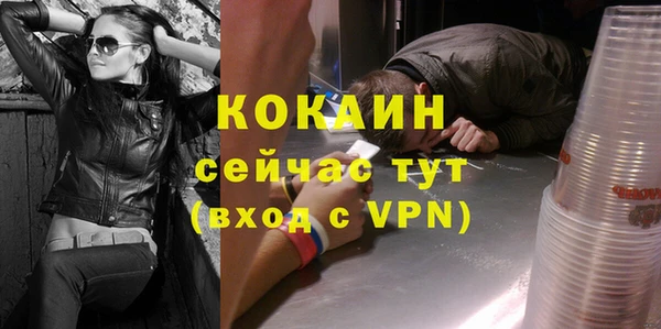 стаф Ельня