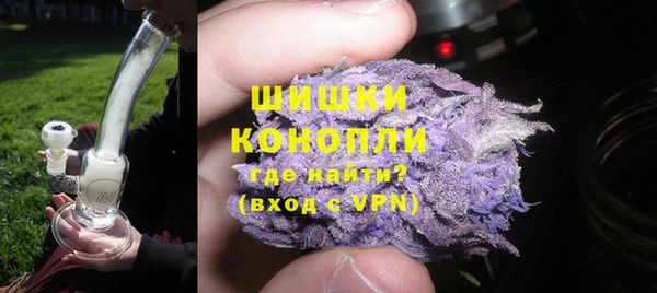 стаф Ельня
