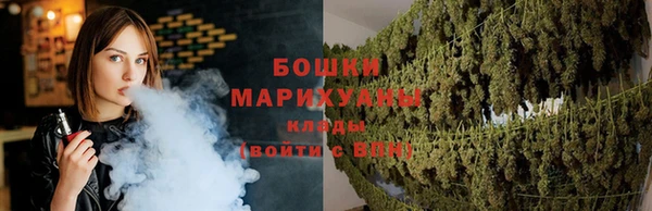 шишки Елизово