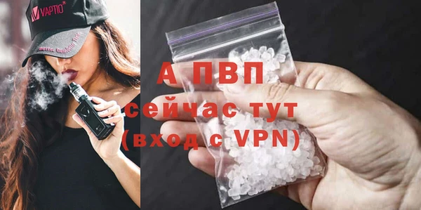 стаф Ельня